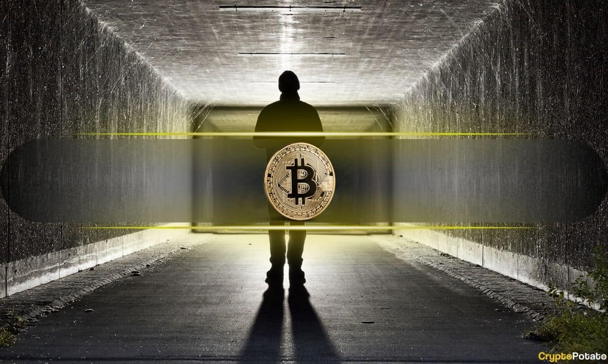 Was Satoshi Nakamoto Active Until 2014?