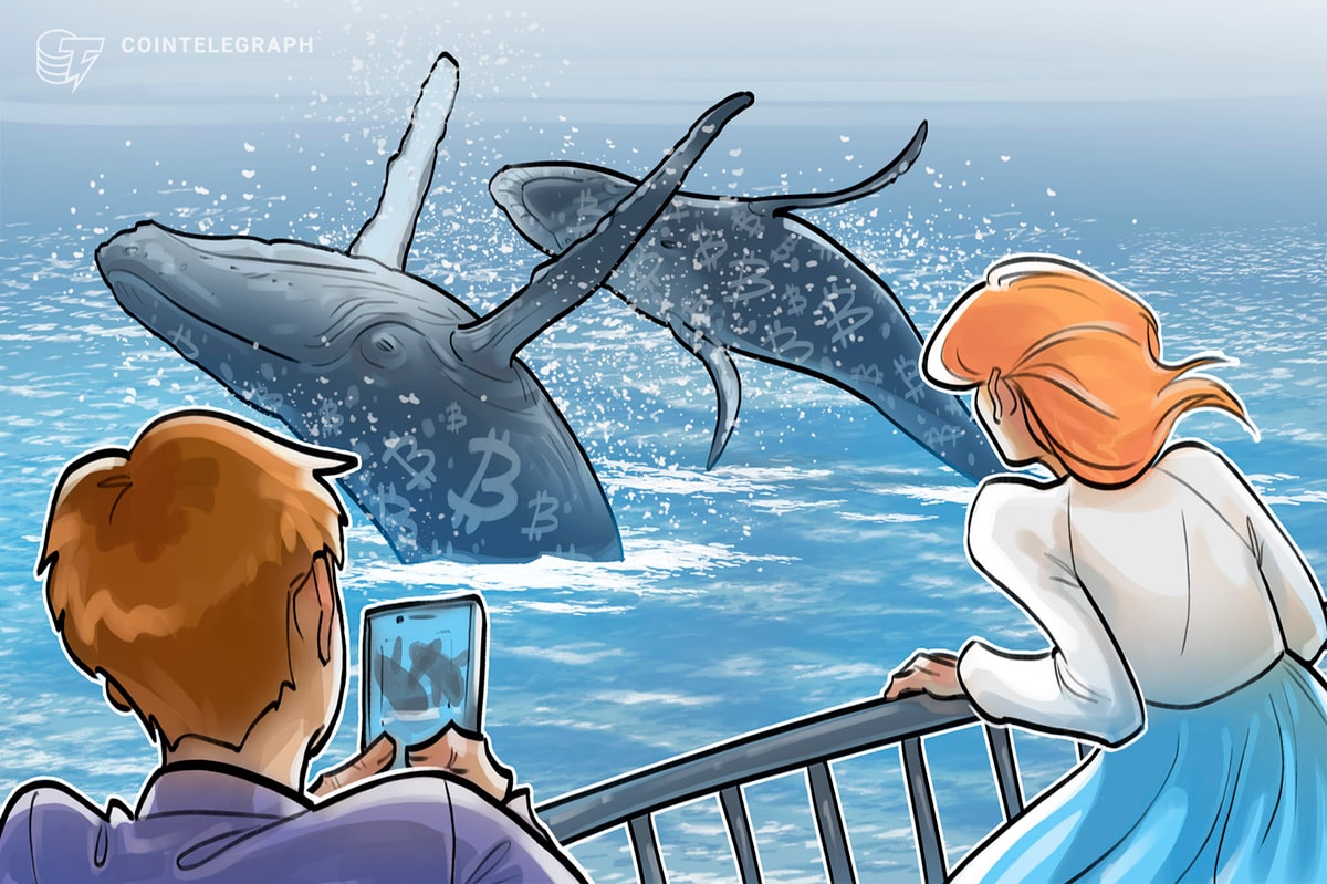 Bitcoin whales hint at $80K 'market rebound' as Binance inflows cool