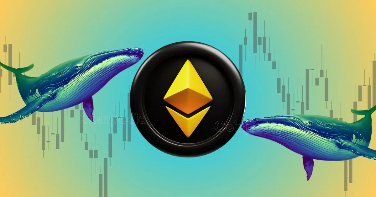 Whale Pressure Drops as Ethereum Faces Sharp Decline Here’s the Impact on ETH Price