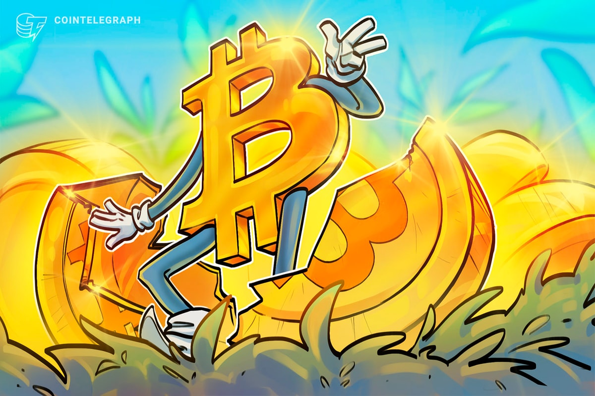 'Strategy is synthetically halving Bitcoin' — Author and analyst