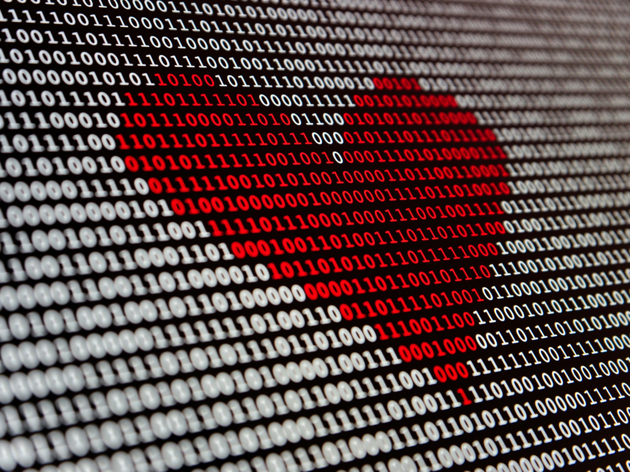 AI doctor learns to ‘see’ medical images