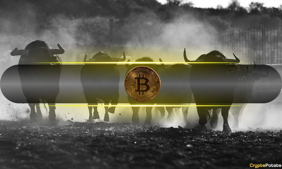 Bitcoin Metrics Align for Extended Bull Run as Price Holds Above Six Figures: Analysts