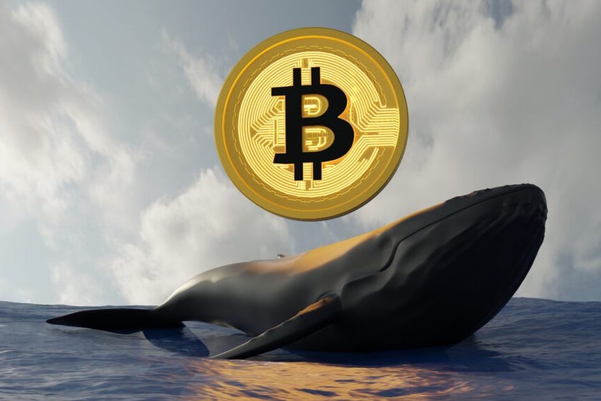 Decade-Old Bitcoin Whale Emerges, Transfers $207.51 Million BTC With Nearly 112,000% Profit