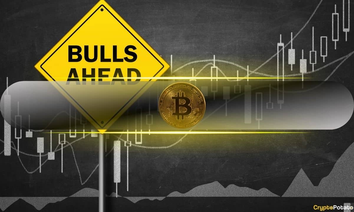 Expert Sees Bullish Signals in Miner Data