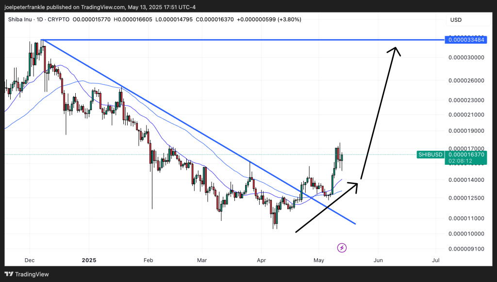 Shiba Inu Price Analysis