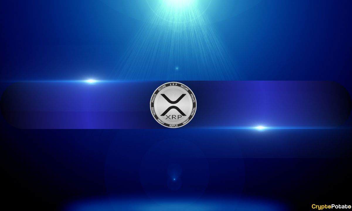 Should Bitcoin Maxis Sweat XRP's Growing Influence?