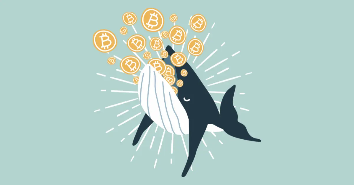 Bitcoin Whale Moves $221M as Price Tops $65K