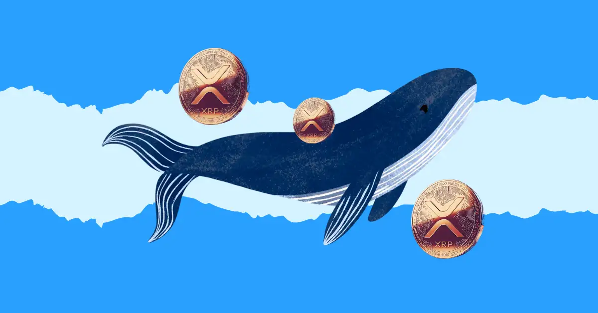 XRP Whales
