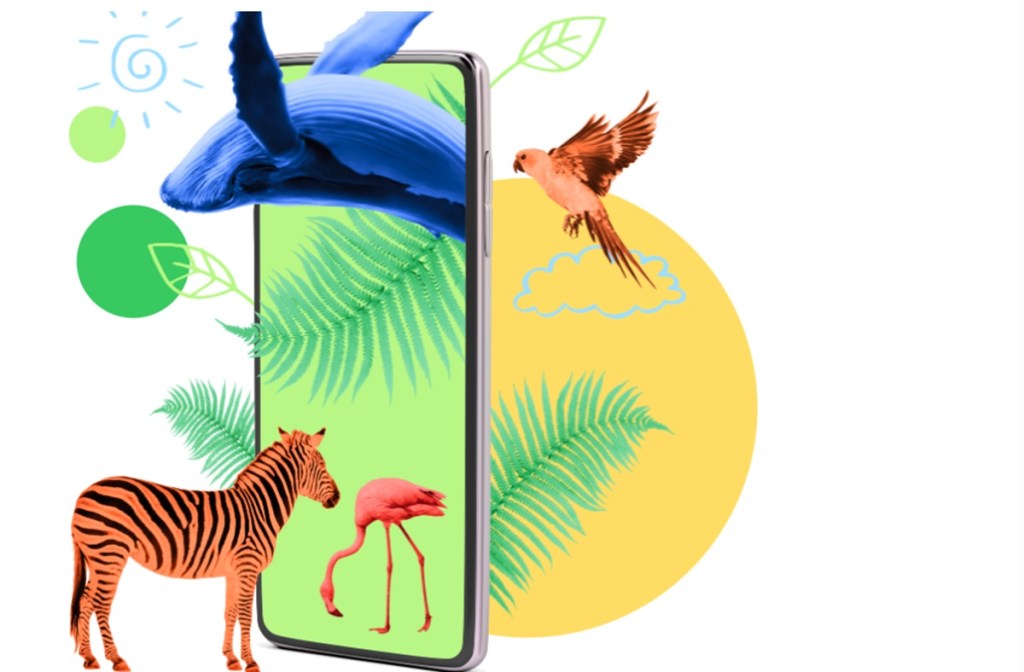 Dots.eco is a platform for real-world environmental rewards in games