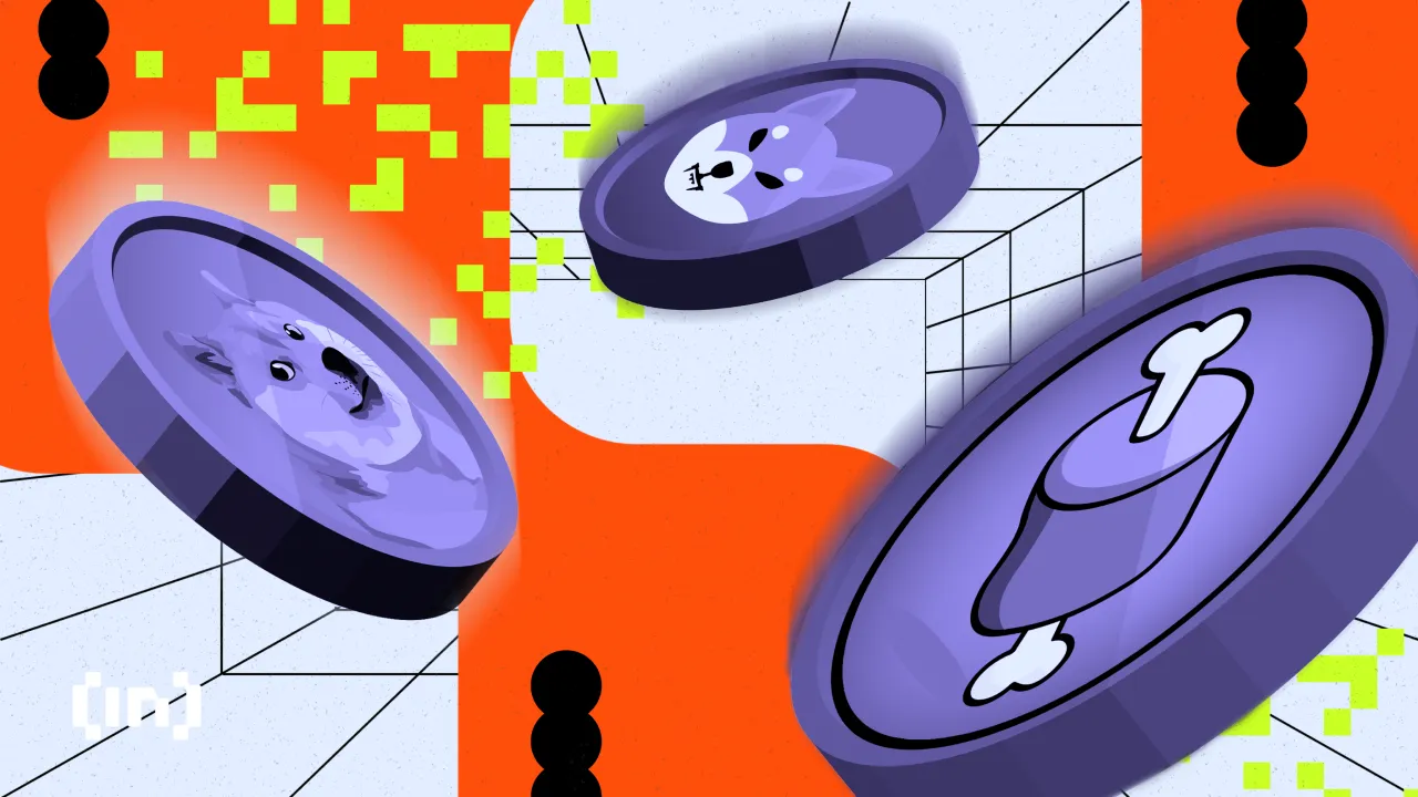 A Bitcoin Meme Coin Surged and Crashed: The Full Story Behind Magic Internet Money
