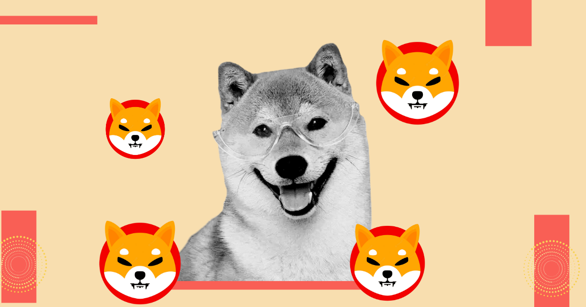Shiba Inu