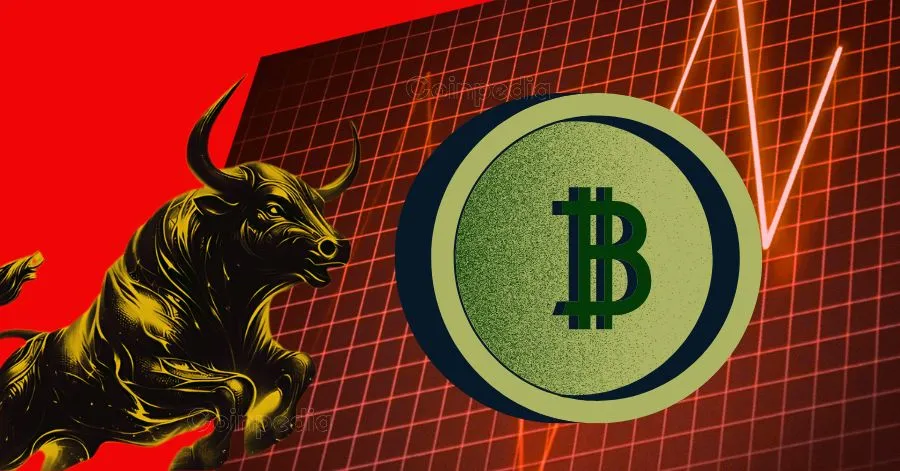 crypto market rise