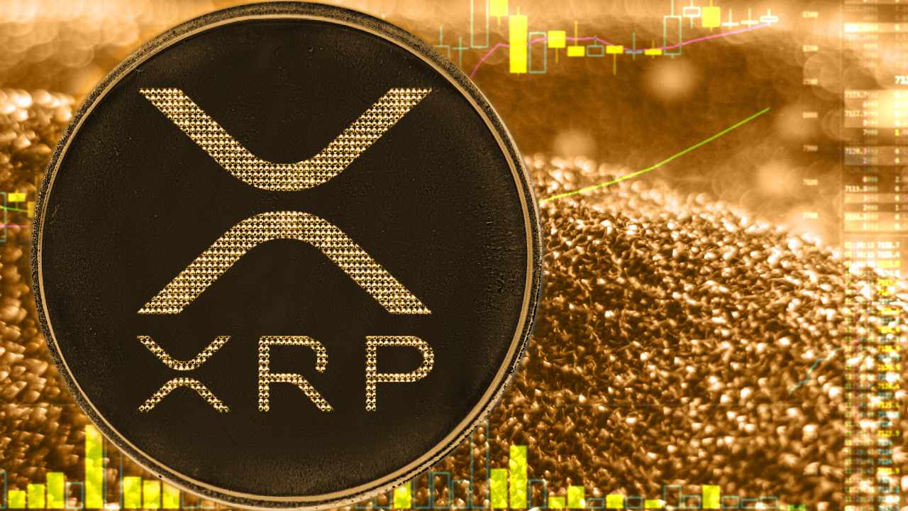 XRP Has Privileged Role on XRPL, Ripple CTO Explains Key Advantages